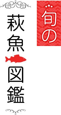 旬の萩魚図鑑