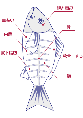 FISH