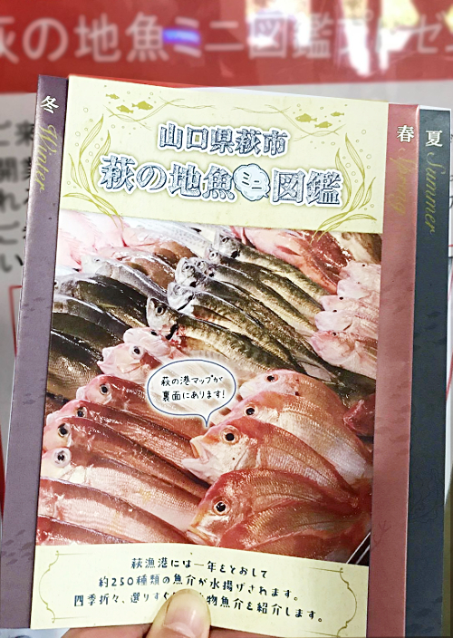 地魚ミニ図鑑1