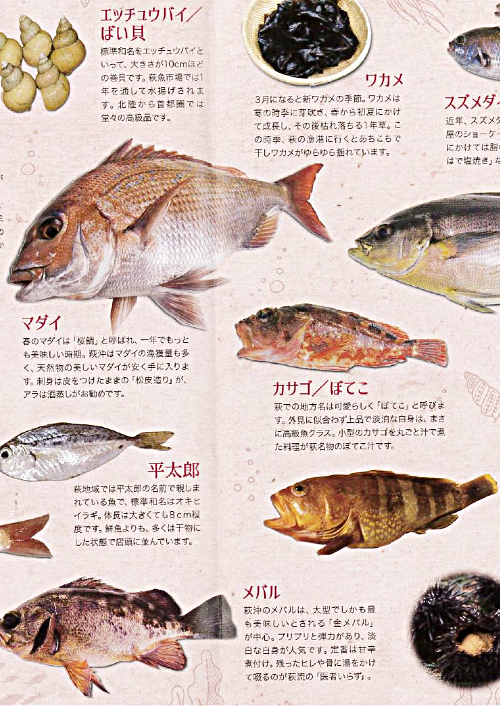 地魚ミニ図鑑2